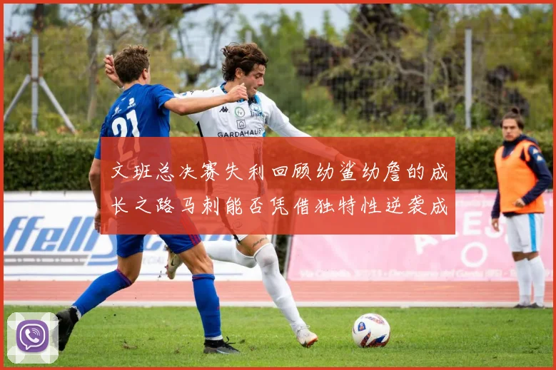 文班总决赛失利回顾幼鲨幼詹的成长之路马刺能否凭借独特性逆袭成功